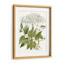 Lacy Deja V | Cuadro decorativo de Canvas Lab