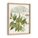 Lacy Deja V | Cuadro decorativo de Canvas Lab