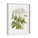 Lacy Deja V | Cuadro decorativo de Canvas Lab