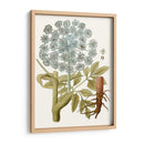 Lacy Hojas Iii | Cuadro decorativo de Canvas Lab