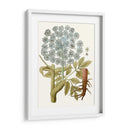 Lacy Hojas Iii | Cuadro decorativo de Canvas Lab