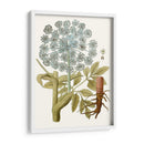 Lacy Hojas Iii | Cuadro decorativo de Canvas Lab