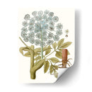 Lacy Hojas Iii | Cuadro decorativo de Canvas Lab