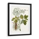 Hojas De Encaje Iv | Cuadro decorativo de Canvas Lab