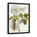 Hojas De Encaje Iv | Cuadro decorativo de Canvas Lab