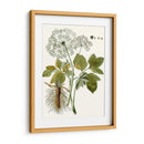 Hojas De Encaje Iv | Cuadro decorativo de Canvas Lab