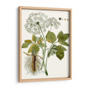 Hojas De Encaje Iv | Cuadro decorativo de Canvas Lab