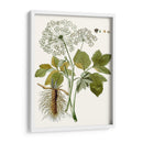 Hojas De Encaje Iv | Cuadro decorativo de Canvas Lab