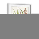 Antiguo Aloe I | Cuadro decorativo de Canvas Lab