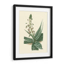 Fantasía Tropical I - Edmonston-Douglas | Cuadro decorativo de Canvas Lab