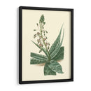 Fantasía Tropical I - Edmonston-Douglas | Cuadro decorativo de Canvas Lab