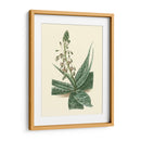 Fantasía Tropical I - Edmonston-Douglas | Cuadro decorativo de Canvas Lab