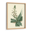 Fantasía Tropical I - Edmonston-Douglas | Cuadro decorativo de Canvas Lab