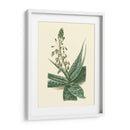 Fantasía Tropical I - Edmonston-Douglas | Cuadro decorativo de Canvas Lab