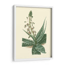 Fantasía Tropical I - Edmonston-Douglas | Cuadro decorativo de Canvas Lab