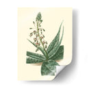 Fantasía Tropical I - Edmonston-Douglas | Cuadro decorativo de Canvas Lab