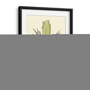 Fantasía Tropical Ii - Edmonston-Douglas | Cuadro decorativo de Canvas Lab