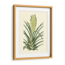 Fantasía Tropical Ii - Edmonston-Douglas | Cuadro decorativo de Canvas Lab