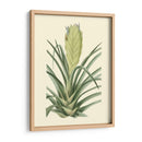 Fantasía Tropical Ii - Edmonston-Douglas | Cuadro decorativo de Canvas Lab