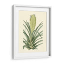 Fantasía Tropical Ii - Edmonston-Douglas | Cuadro decorativo de Canvas Lab