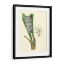 Fancy Tropical Iii - Edmonston-Douglas | Cuadro decorativo de Canvas Lab