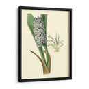 Fancy Tropical Iii - Edmonston-Douglas | Cuadro decorativo de Canvas Lab