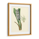 Fancy Tropical Iii - Edmonston-Douglas | Cuadro decorativo de Canvas Lab