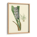 Fancy Tropical Iii - Edmonston-Douglas | Cuadro decorativo de Canvas Lab