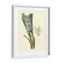 Fancy Tropical Iii - Edmonston-Douglas | Cuadro decorativo de Canvas Lab