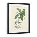 Tropical Fancy V - Edmonston-Douglas | Cuadro decorativo de Canvas Lab