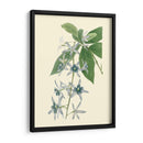 Tropical Fancy V - Edmonston-Douglas | Cuadro decorativo de Canvas Lab