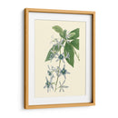 Tropical Fancy V - Edmonston-Douglas | Cuadro decorativo de Canvas Lab