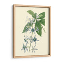 Tropical Fancy V - Edmonston-Douglas | Cuadro decorativo de Canvas Lab