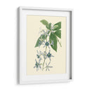 Tropical Fancy V - Edmonston-Douglas | Cuadro decorativo de Canvas Lab