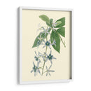 Tropical Fancy V - Edmonston-Douglas | Cuadro decorativo de Canvas Lab