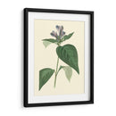 Fancy Tropical Vi - Edmonston-Douglas | Cuadro decorativo de Canvas Lab