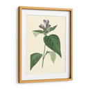 Fancy Tropical Vi - Edmonston-Douglas | Cuadro decorativo de Canvas Lab