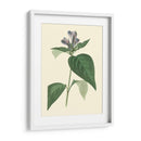 Fancy Tropical Vi - Edmonston-Douglas | Cuadro decorativo de Canvas Lab