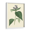 Fancy Tropical Vi - Edmonston-Douglas | Cuadro decorativo de Canvas Lab