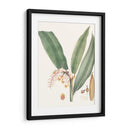 Suave Tropical Ii - George Smith | Cuadro decorativo de Canvas Lab