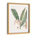 Suave Tropical Ii - George Smith | Cuadro decorativo de Canvas Lab