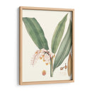 Suave Tropical Ii - George Smith | Cuadro decorativo de Canvas Lab