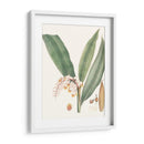 Suave Tropical Ii - George Smith | Cuadro decorativo de Canvas Lab