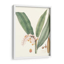 Suave Tropical Ii - George Smith | Cuadro decorativo de Canvas Lab