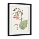 Suave Tropical Iii - George Smith | Cuadro decorativo de Canvas Lab