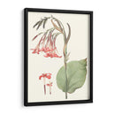 Suave Tropical Iii - George Smith | Cuadro decorativo de Canvas Lab