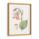 Suave Tropical Iii - George Smith | Cuadro decorativo de Canvas Lab