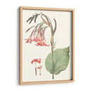 Suave Tropical Iii - George Smith | Cuadro decorativo de Canvas Lab