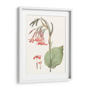 Suave Tropical Iii - George Smith | Cuadro decorativo de Canvas Lab