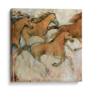 Caballo Fresco I - Tim OToole | Cuadro decorativo de Canvas Lab